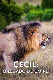 Cecil: O Legado de um Rei